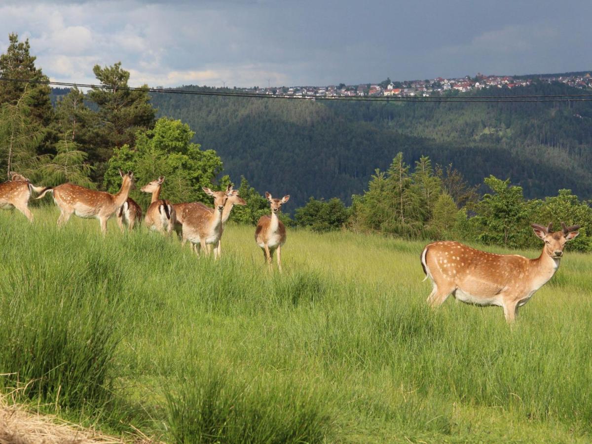 שילטך Ferienhof Kienbronnerhof מראה חיצוני תמונה